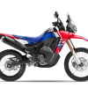 CRF250 RALLY